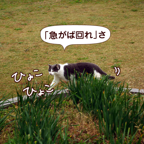 120204.jpg