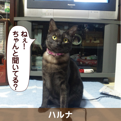 120404_touko.jpg