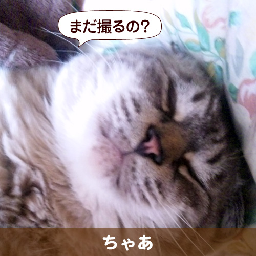 120405_touko.jpg