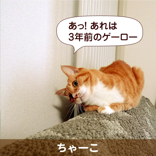 120504_touko.jpg
