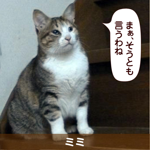 120521_touko.jpg