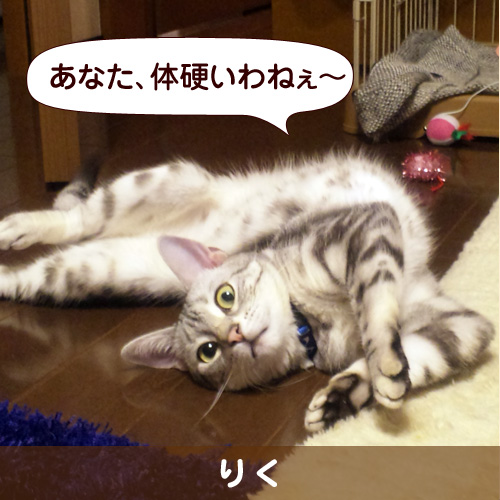 120522_touko.jpg