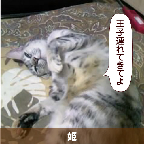 120524_touko.jpg