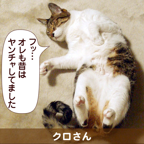 120608_touko.jpg