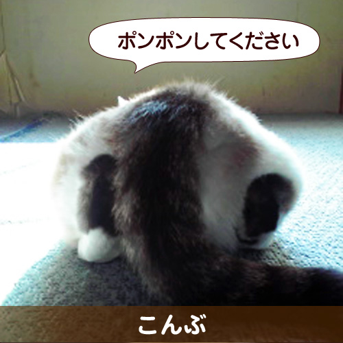 120609_touko.jpg