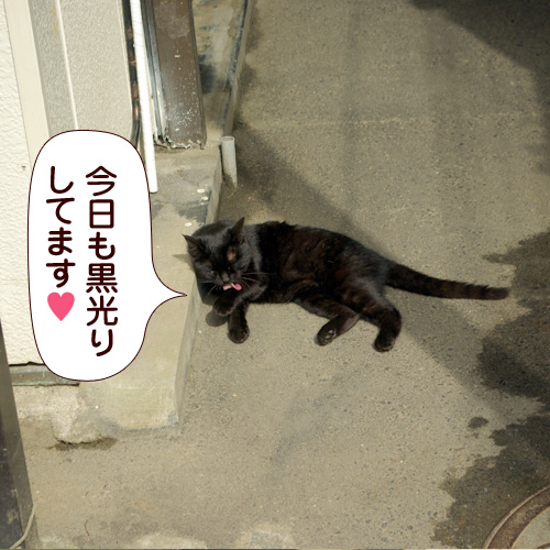 120703.jpg