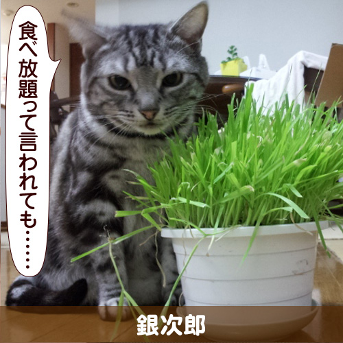 120708_touko.jpg