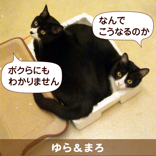 120709_touko.jpg