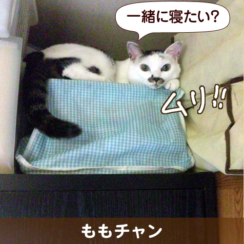 120710_touko.jpg