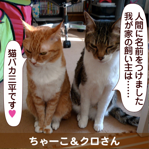 120720_touko.jpg
