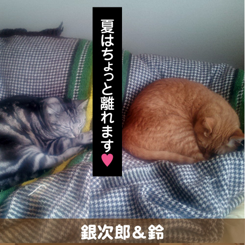 120806_touko.jpg