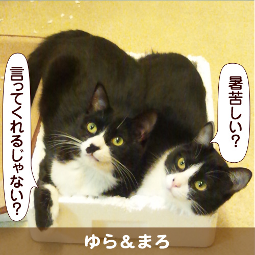 120808_touko.jpg