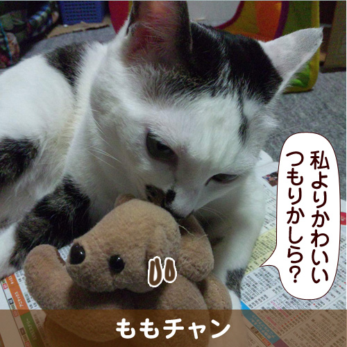 120809_touko.jpg