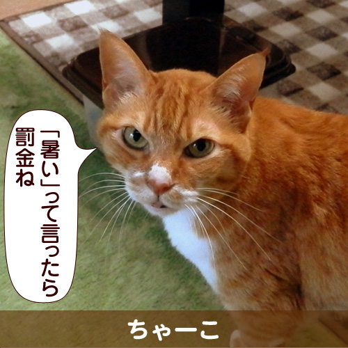120817_touko.jpg