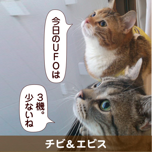 120818_touko.jpg