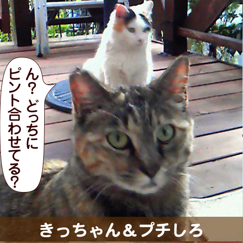 120828_touko.jpg