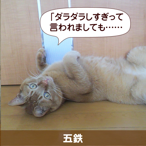 120904_touko.jpg