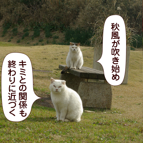 120912.jpg