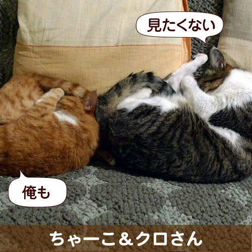 120916_touko.jpg