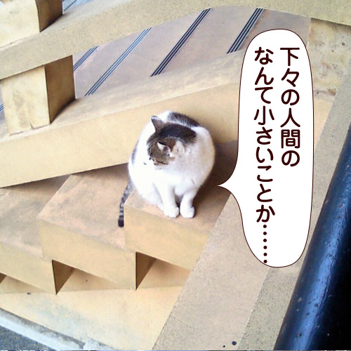 120919.jpg