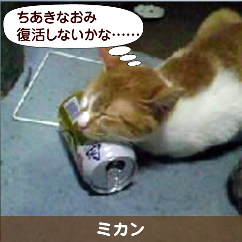 121020_touko.jpg