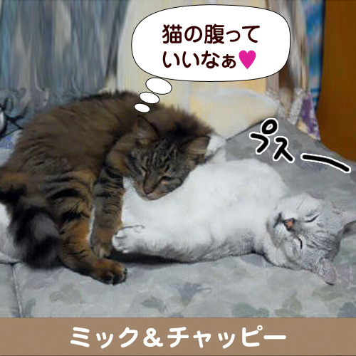 121021_touko.jpg