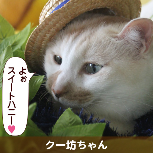 121126_touko.jpg