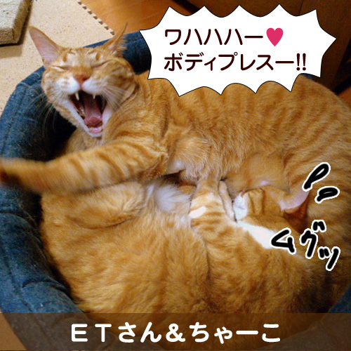 121129_touko.jpg