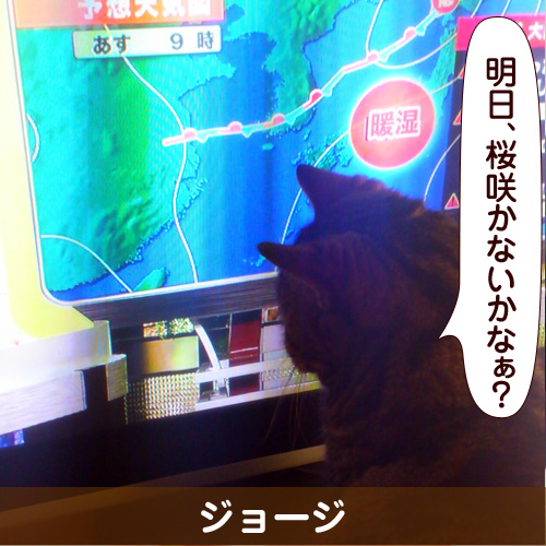 121205_touko.jpg