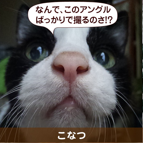 121208_touko.jpg