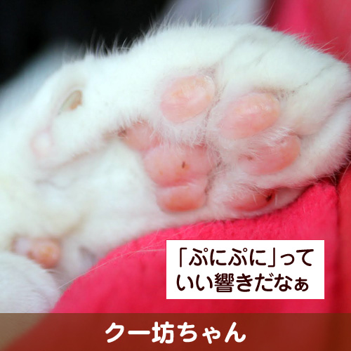 121211_touko.jpg