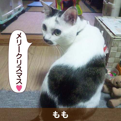 121225_touko.jpg