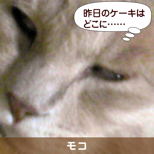 121226_touko.jpg