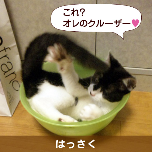 121229_touko.jpg