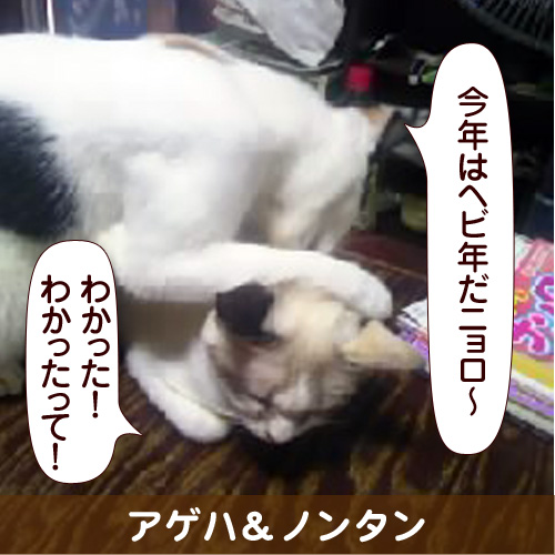 130101_touko.jpg