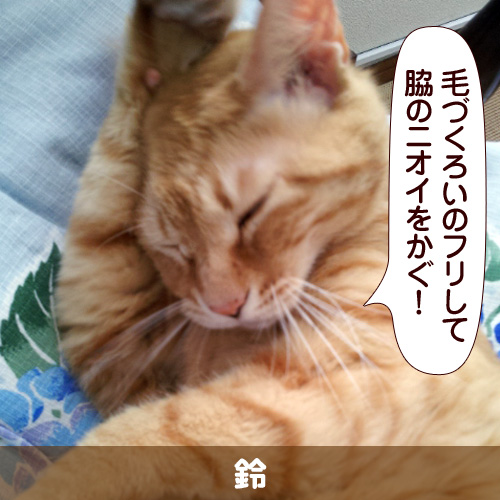 130109_touko.jpg
