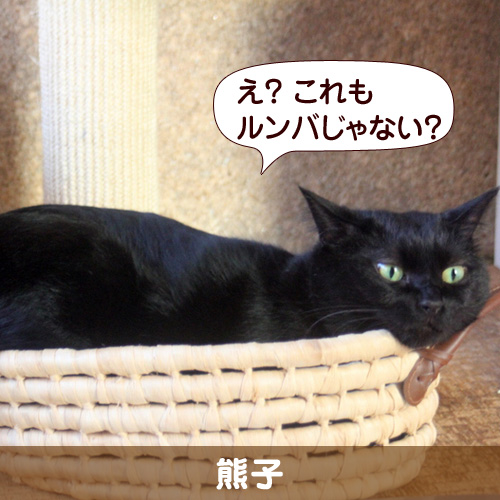 130110_touko.jpg