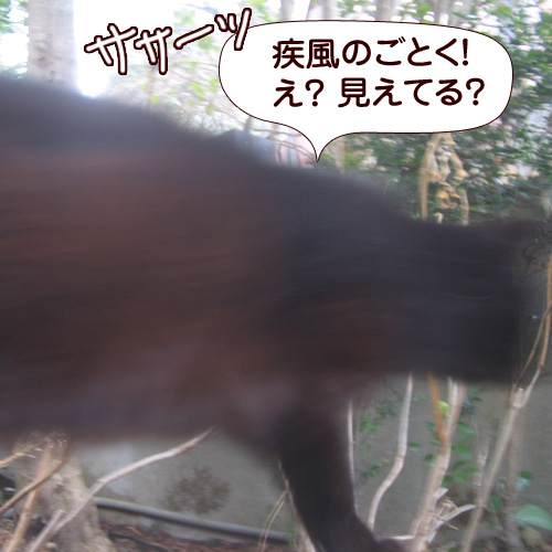 130204.jpg
