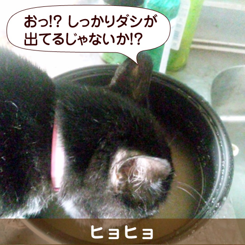 130205_touko.jpg