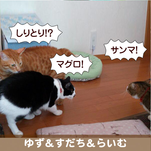 130206_touko.jpg