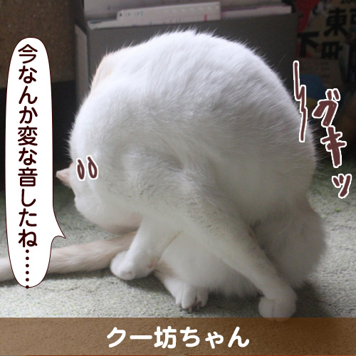 130213_touko.jpg