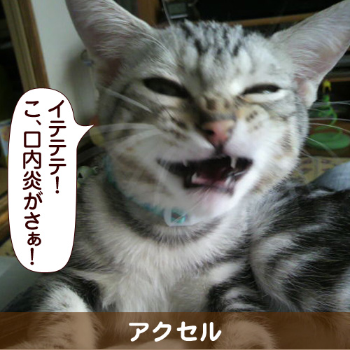 130215_touko.jpg