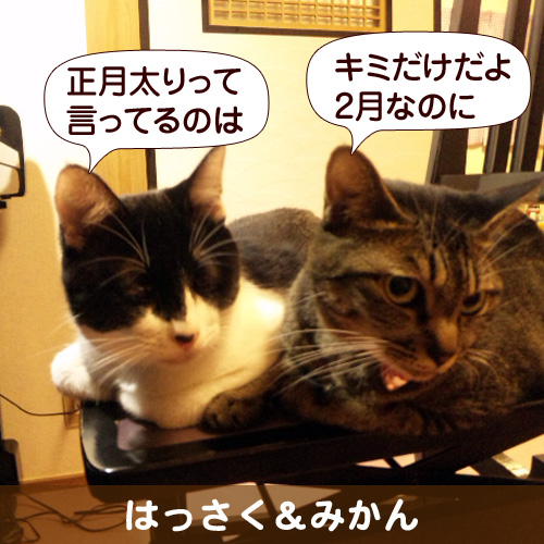 130218_touko.jpg