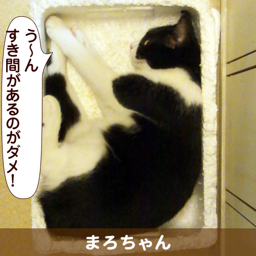 130219_touko.jpg