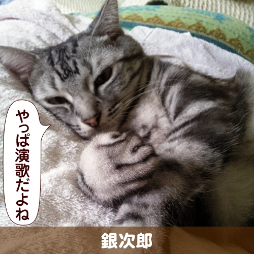 130220_touko.jpg