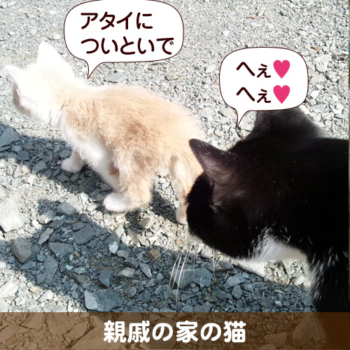 130221_touko.jpg