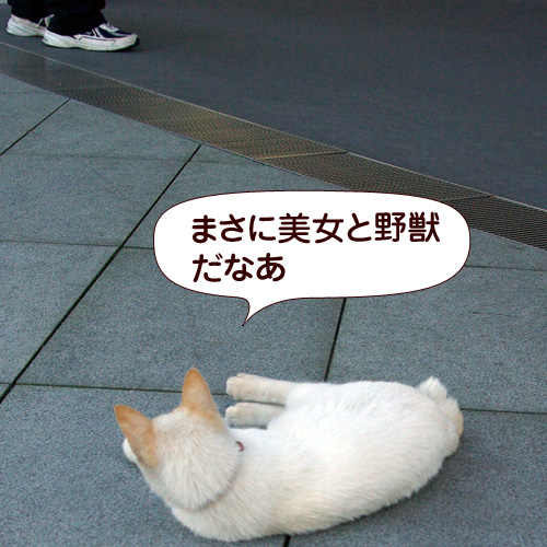 130222.jpg