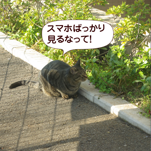 130224.jpg