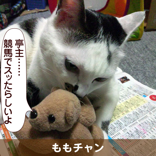 130224_touko.jpg