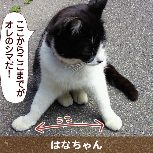 130225_touko.jpg